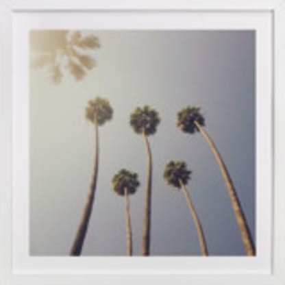 Sunny Palm Trees