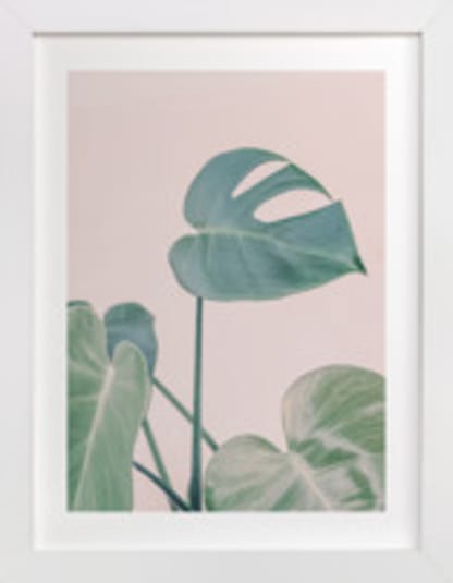 Botanical No. 38