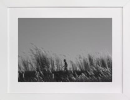 Flight and Hike II