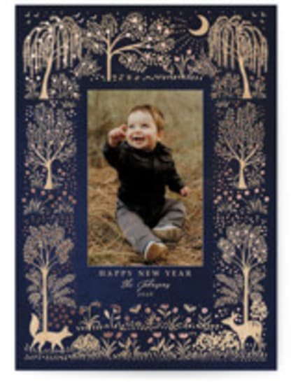 Forest under the moonlight