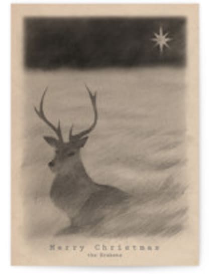 Red Deer