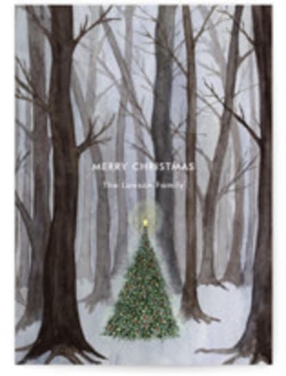 Silent Night Woods
