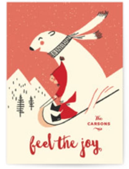 Polar Friend