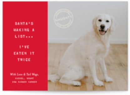 NAUGHTY HOLIDAY DOG