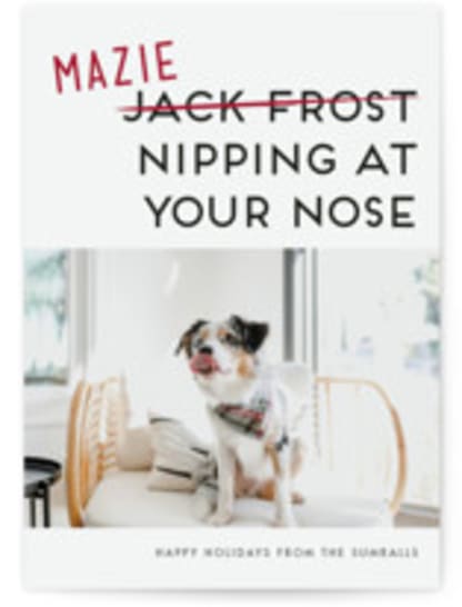 Not Jack Frost