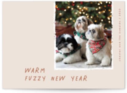 Warm Fuzzy