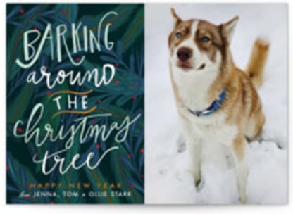 Barking Fun
