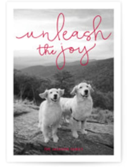 Unleash the Joy