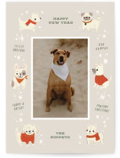 Dog Days of Christmas