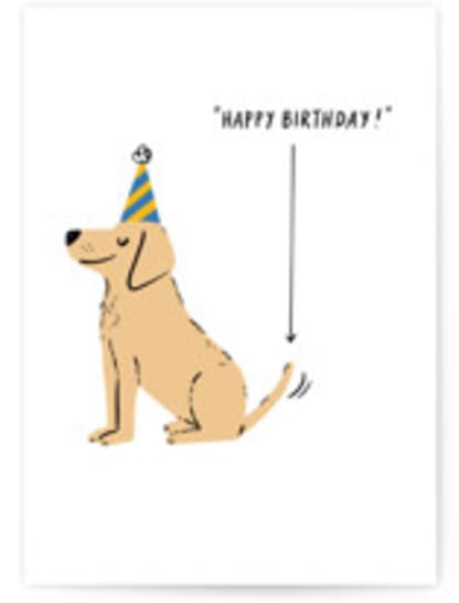 The Dog Says