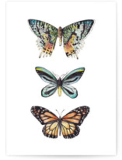 Butterfly Watercolors