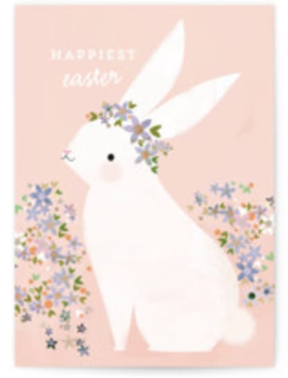 Bunny