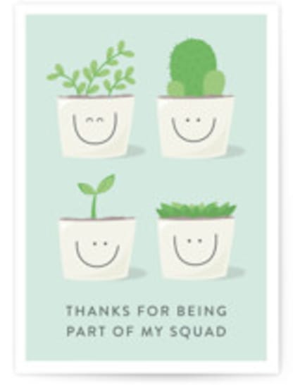 Succulent Squad