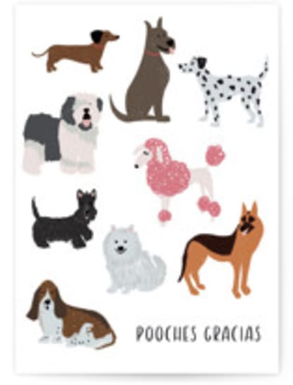 Pooches Gracias