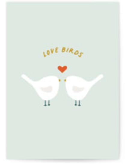 Love Birds