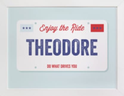 License Plate
