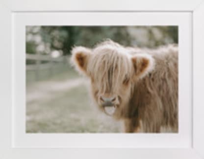 The Silly Little Cow