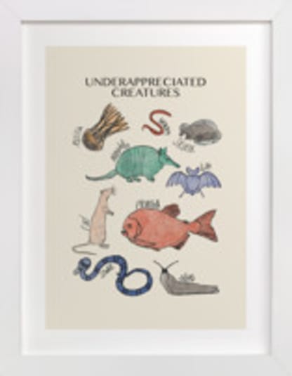 Underappreciated Creatures