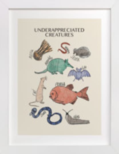 Underappreciated Creatures