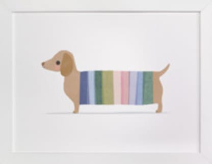 Colorful Dog