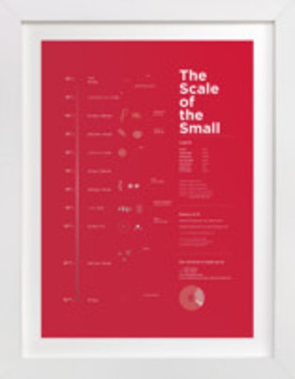 Scale of the Small