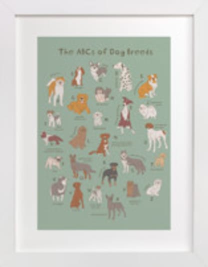 ABCs of Dog Breeds