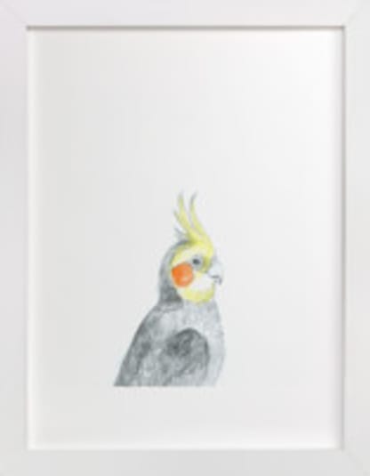 Cockatiel
