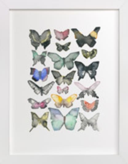 Watercolor Butterfly Collection