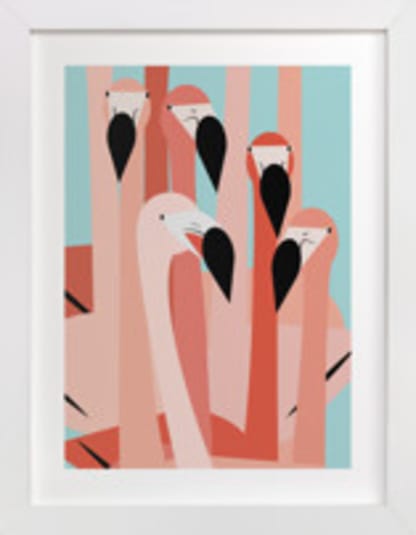 The Flamingos Are Staring