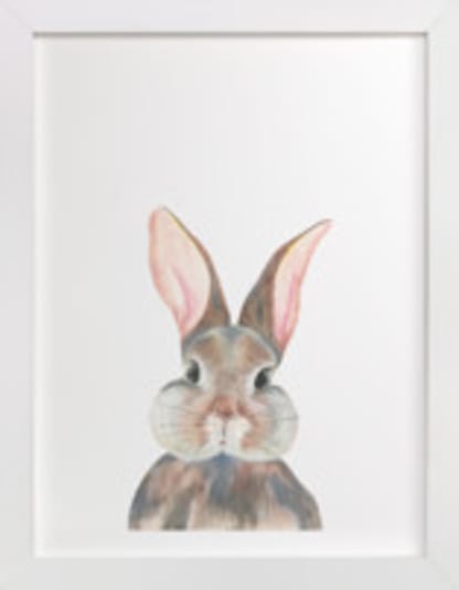 Curious Bunny