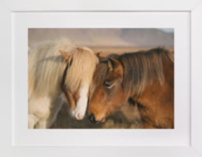 Icelandic Horses II