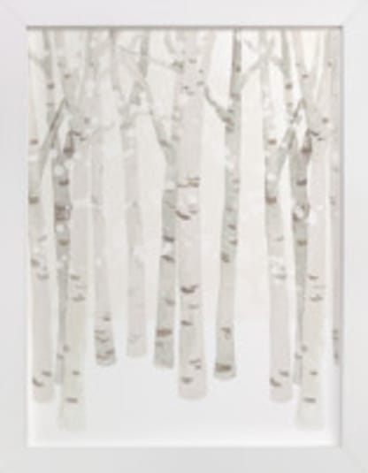 Birch Woods in Winter
