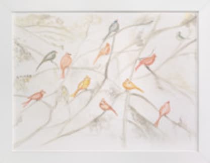 Birds on trees