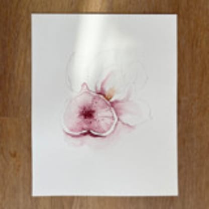 Purple Figs Fruit 02