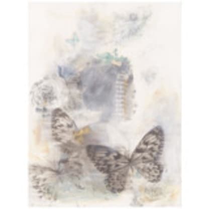 Mono no aware (the beauty of impermanence)