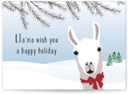 Llama Holiday