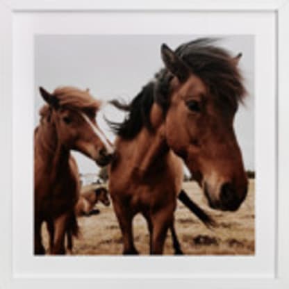 Windswept (Iceland)