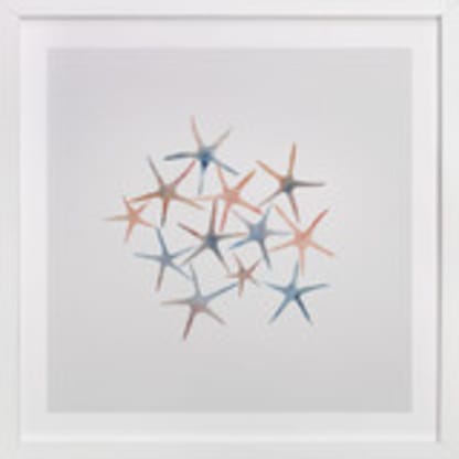 Seastars