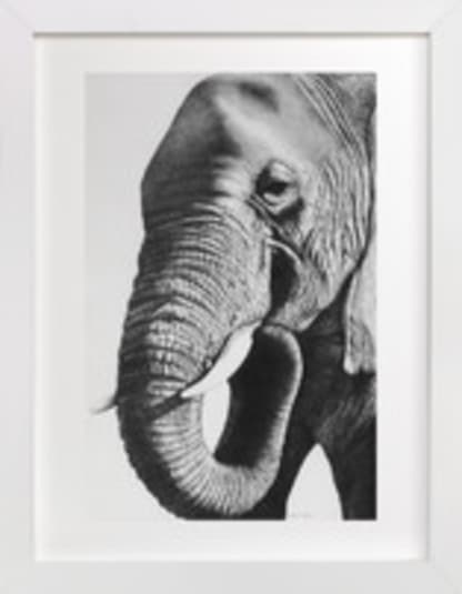 Face of an Elephant