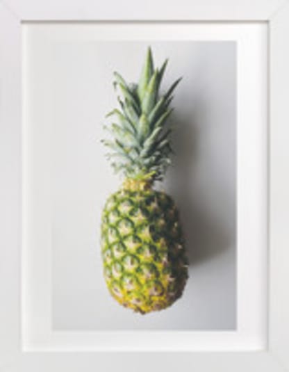 Ananas comosus