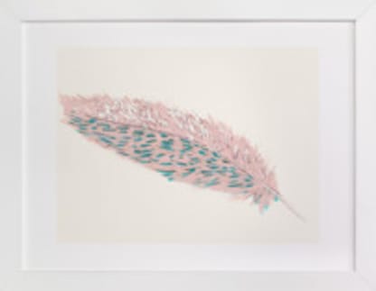 Pink Feather