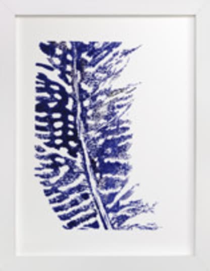Indigo Feather II