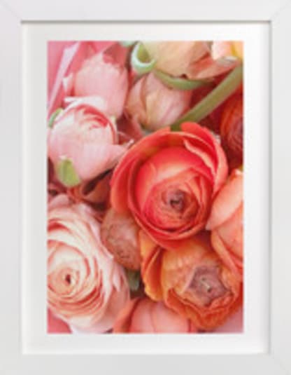 Ranunculus Tangle