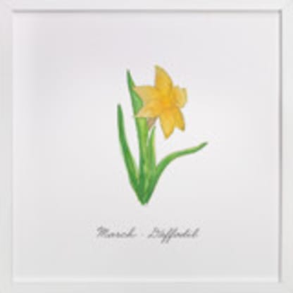 March Daffodil
