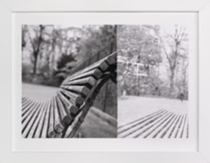 The Bench