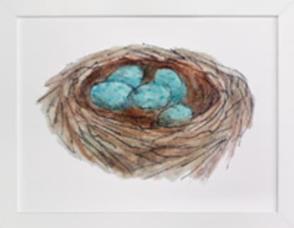Bird's Nest