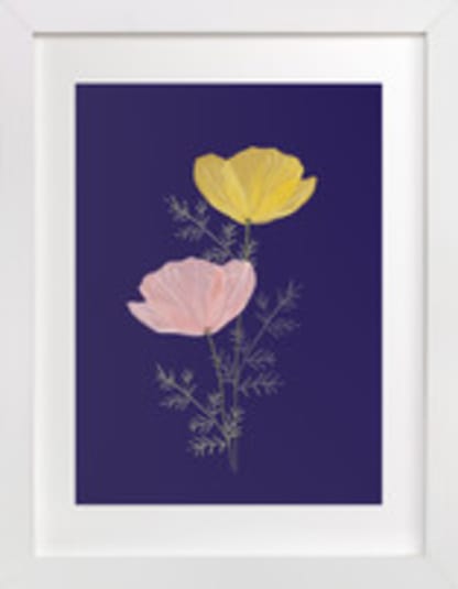 Pressed Poppies