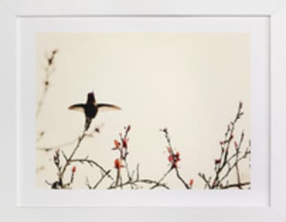 Landing on Branches.