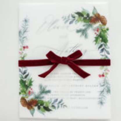 Winter Pine Vellum Jacket | Set of 10 Vellum Jackets
