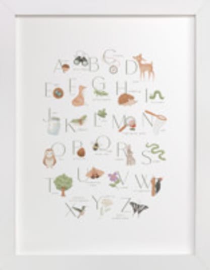 Woodland Explorer Alphabet
